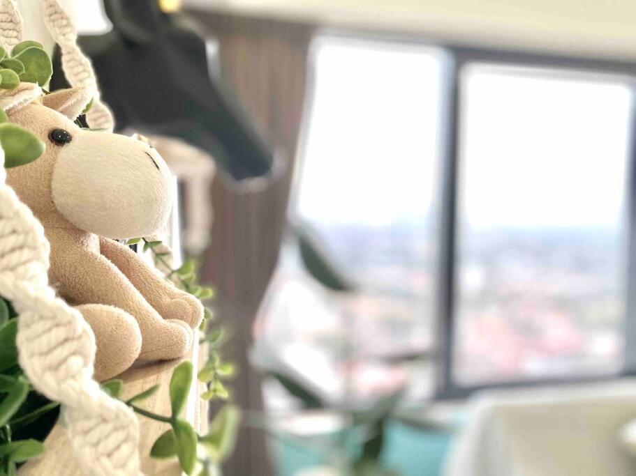 Pangsapuri Tropicana 218 Macalister #top Floor #wideangleviews #infinitypool #georgetown #8pax #3br 2bath #2queen 4single #near Island Hospital #quality Well Maintained #private Host *